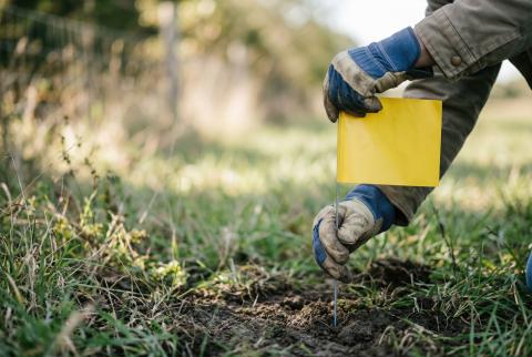 Asset Management & Protection