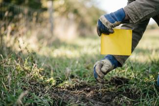 Asset Management & Protection